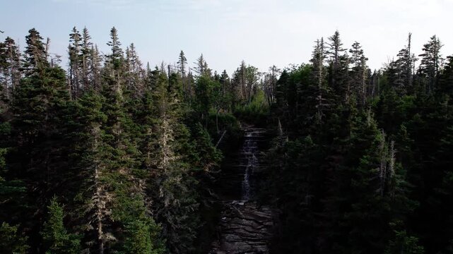 Water Falling from the "Chute &agrave; Boule" Waterfall in a Forest on Anticosti Island, Quebec, Canada