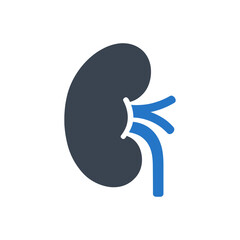 Kidney Vascular Structure Icon