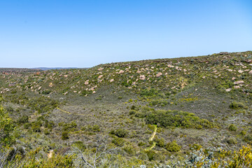 Landscape of the Bokkeveld Plateau near Nieuwoudtville in the Northern Cape of South Africa