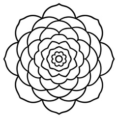 Ranunculus Flower Mandala Art Vector