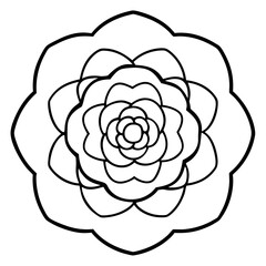 Ranunculus Flower Mandala Art Vector
