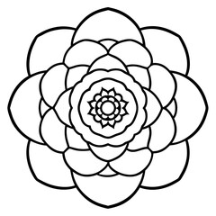 Ranunculus Flower Mandala Art Vector