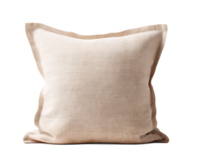 Pillow with a transparent background