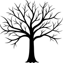 Fototapeta premium tree, without leaves Silhouette