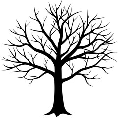 Fototapeta premium tree, without leaves Silhouette