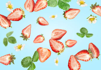 Cut fresh juicy strawberries with flowers and green leaves falling on light blue background