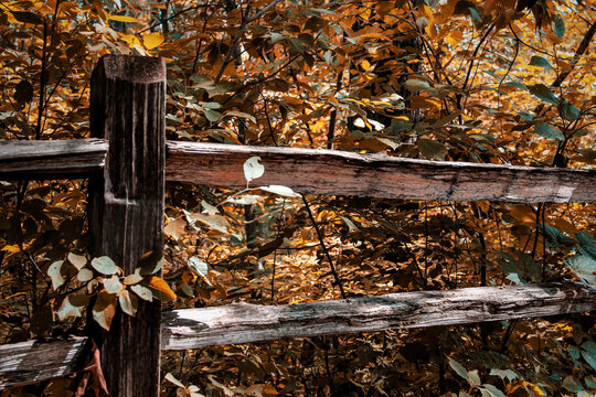 a rustic split-rail fence in a natural setting with rustic autumn fall tones. abstract earthy nature landscape with copy space