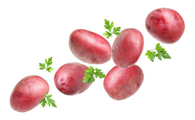 Fresh red potatoes with parsley flying on white background