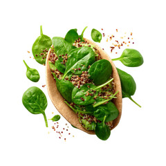 Healthy Quinoa and Spinach Snack in Whole Wheat Flatbread