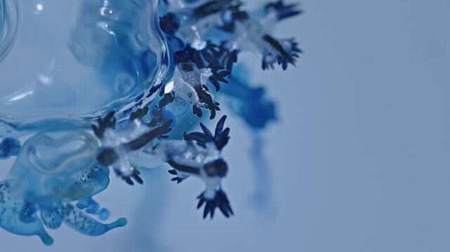 Beautiful Blue Dragons are small, shiny silver-blue creatures that look beautiful and unusual. However, they contain deadly poison from the prey they eat, such as the fire jellyfish.
