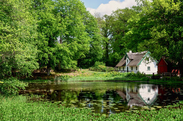 Fototapete bei efototapeten.de bestellen   