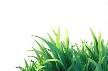 Lush, vibrant green grass blades, sharply rendered, against a stark white background, suggesting springtime freshness or new growth