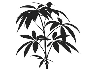tropical plant silhouette