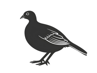 Obraz premium quail images silhouette