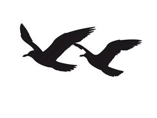 Obraz premium seagulls silhouette