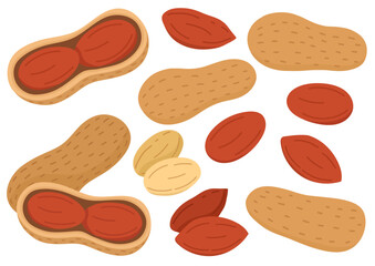 Doodle peanuts in cartoon style collection. Healthy food set with nuts. Peeled and unpeeled peanuts isolated on white background. Vector illustration