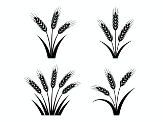 Four black wheat stalk silhouettes isolated on white background