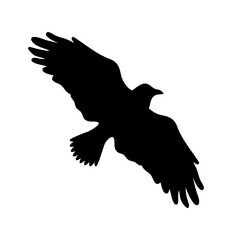 Crow bird silhouette isolated on white background. Raven shadow. Vector illustration