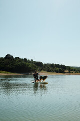 A man paddling on a SUP board with his Australian shepherd dog on a calm lake. Summer outdoor recreation and pet adventure