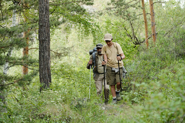 Naklejka premium Middle aged man and teenage boy hiking together through forest, carrying backpacks and trekking poles, walking along green trail surrounded by trees and vegetation