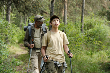 Middle aged man and teenage boy hiking together in forest, both carrying backpacks and trekking poles, father following son along wooded trail surrounded by green trees