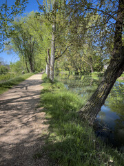 Canal de Castilla in the city of Palencia