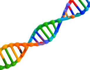 3D Colorful DNA Helix Structure Floating, Isolated on Transparent Background