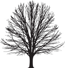 Obraz premium Elegant Tree Silhouette | Black Vector on White Background