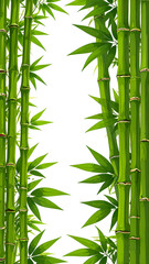 A minimal vector illustration of a tranquil Zen bamboo border with flat green stalks on the sides, with a clean and simple white background