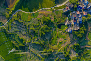 Thermal Power Plant at Night