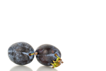 Juicy sweet black plums isolated on white background, close-up.