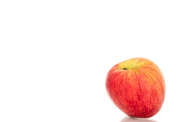 Juicy organic apples isolated on white background, macro.