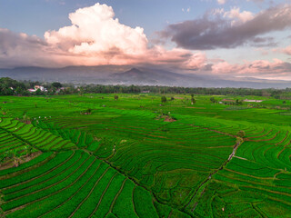 Wonderful sunrise scenery indonesia nature mountain valley forest with bright sky