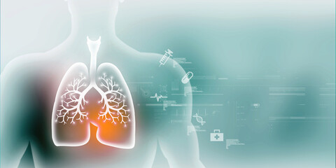 2d illustration Healthy Human Lungs 