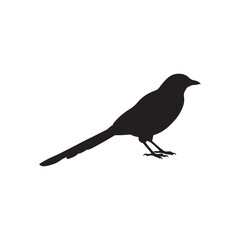 Obraz premium Magpie silhouette vector flat illustration design on white background
