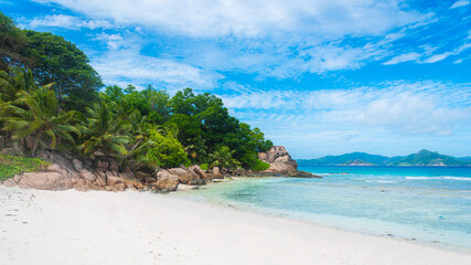 White sand and palm trees in a tropical beach