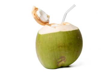 Photo of fresh coconut taken with a high-resolution camera using the focus-stacking technique on a white background.