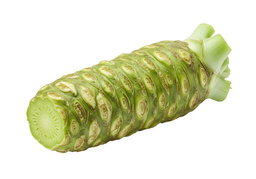 Fresh wasabi root with a rough textured surface, isolated on white or transparent background. PNG