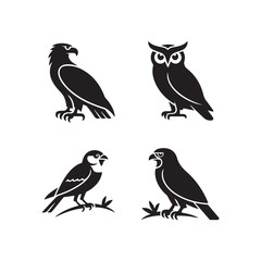 Obraz premium Four distinct bird silhouettes including an eagle owl and smaller perching birds silhouette