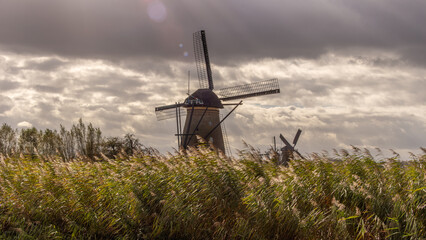 Dutch wind mills in Kinderdijk in Holland on june 10th 2025