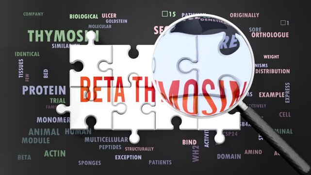 Beta Thymosin under magnifying glass, being researched, studied and examined. Most important subjects and ideas closely related to beta thymosin written around a puzzle.Can be looped.