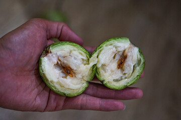 Hand holding a halved star apple (Chrysophyllum cainito) with white juicy flesh and seeds. Exotic...