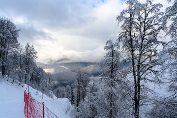 A ski slope with a protective net