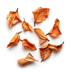 Dried orange flower petals scattered on a white background