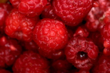 Fresh raspberries glistening in the soft sunlight 