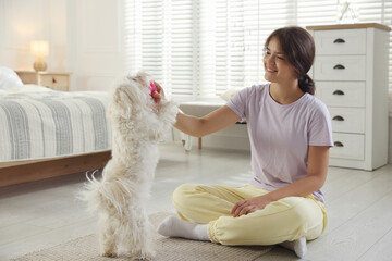 Happy teenage girl playing with cute Maltese dog at home