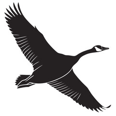 vector illustration of a seagull
