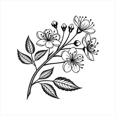 black and white flower vector