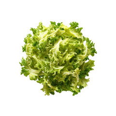 Obraz premium Fresh Green Oak Leaf Lettuce, Close-Up Overhead Shot