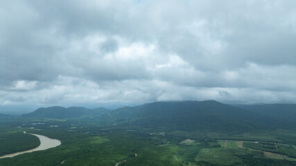 Aerial View of Mangrove Forest and River Delta intersected by winding canal,The mangrove canal is...